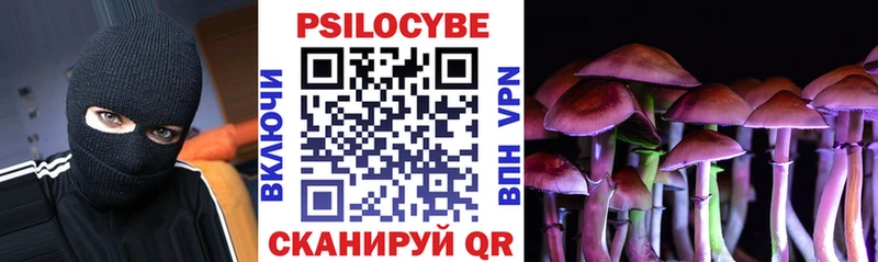 Купить закладки Макаров Галлюциногенные грибы прущие грибы